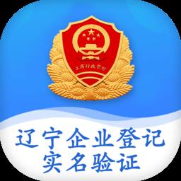 辽宁企业登记实名验证app最新版